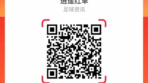 法国足球外援抢手全欧：116名将征战欧陆赛场，为何他们如此受欢迎足球风云-法国新浪体育解析